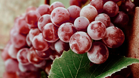 Resveratrol menopausia pastillas arrugas