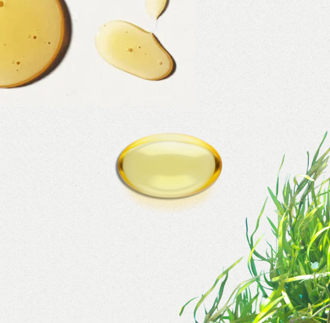 Descubriendo el Poder del Omega 3 Vegano: Beneficios y Fuentes